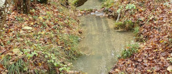 vente Domaine Ventenac