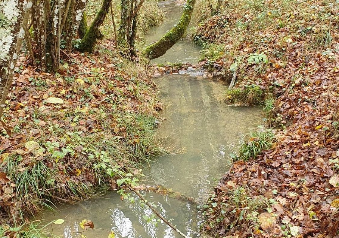 vente Domaine Ventenac