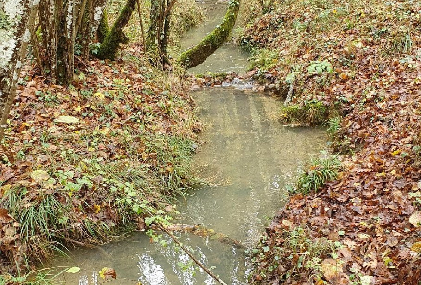 vente Domaine Ventenac - Photo 10