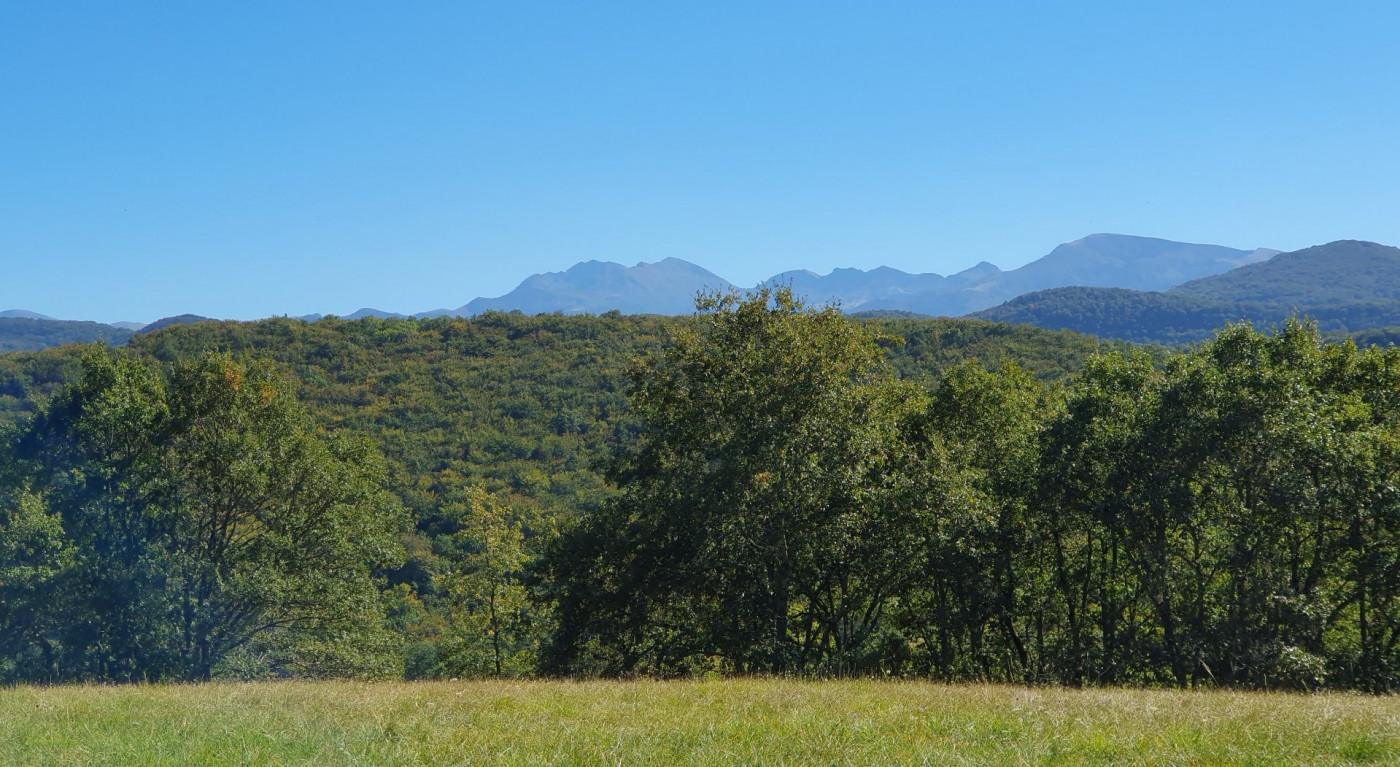 vente Domaine Ventenac - Photo 7