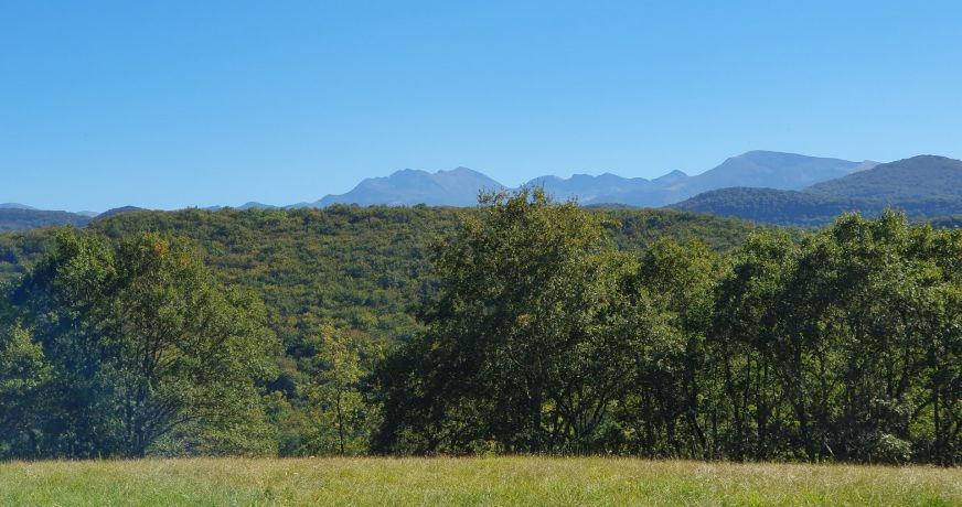 vente Domaine Ventenac