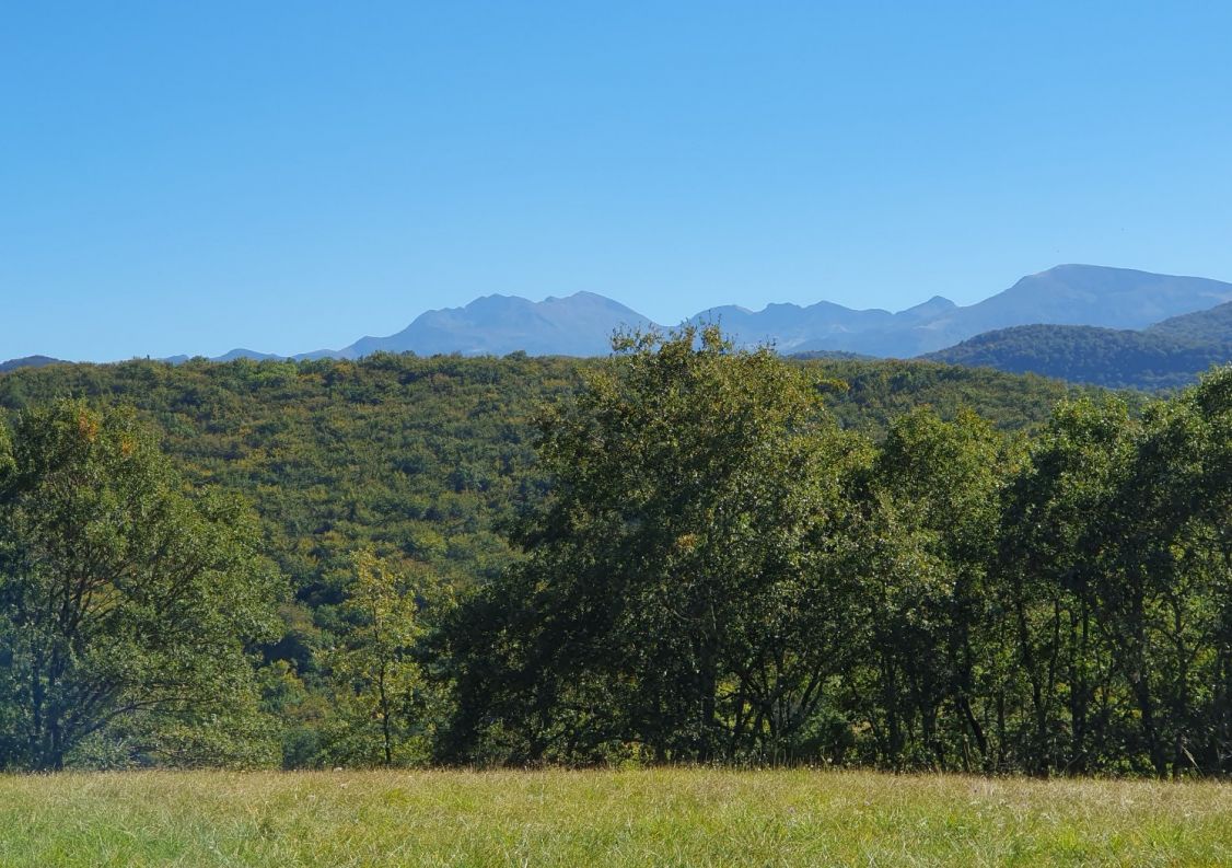 vente Domaine Ventenac