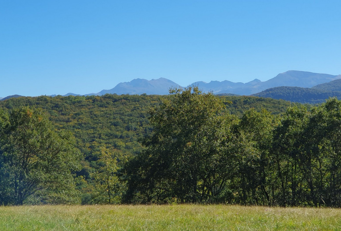 vente Domaine Ventenac - Photo 7