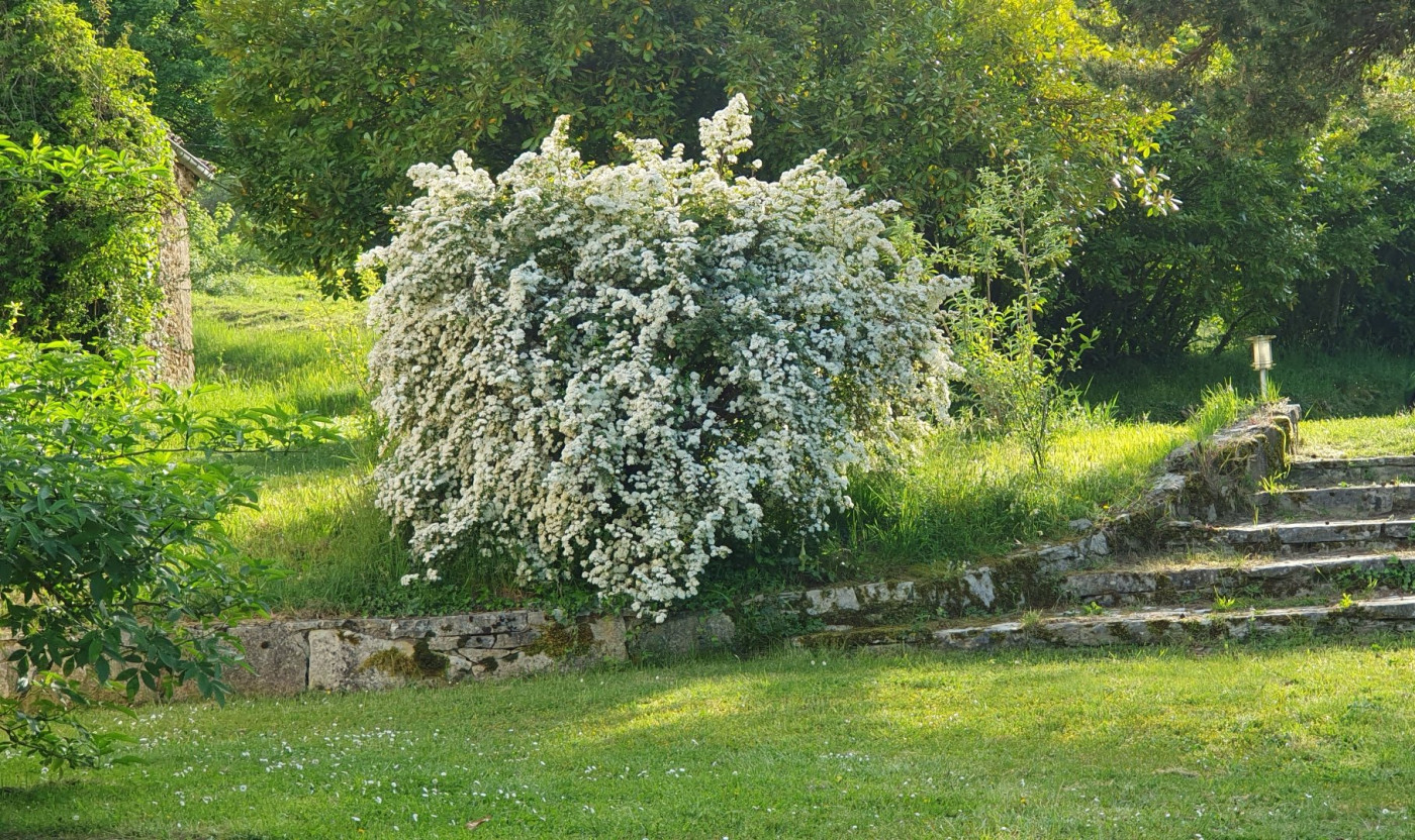 vente Domaine Ventenac - Photo 8