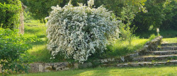 vente Domaine Ventenac