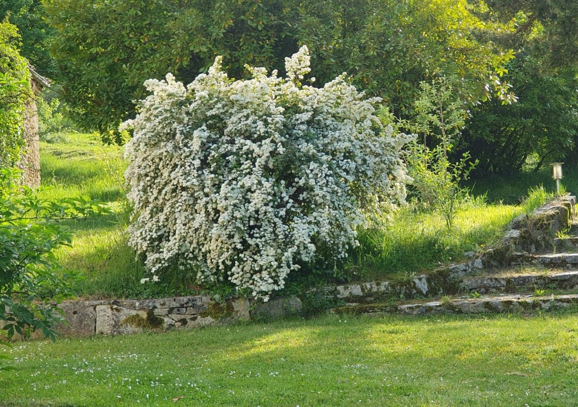 vente Domaine Ventenac