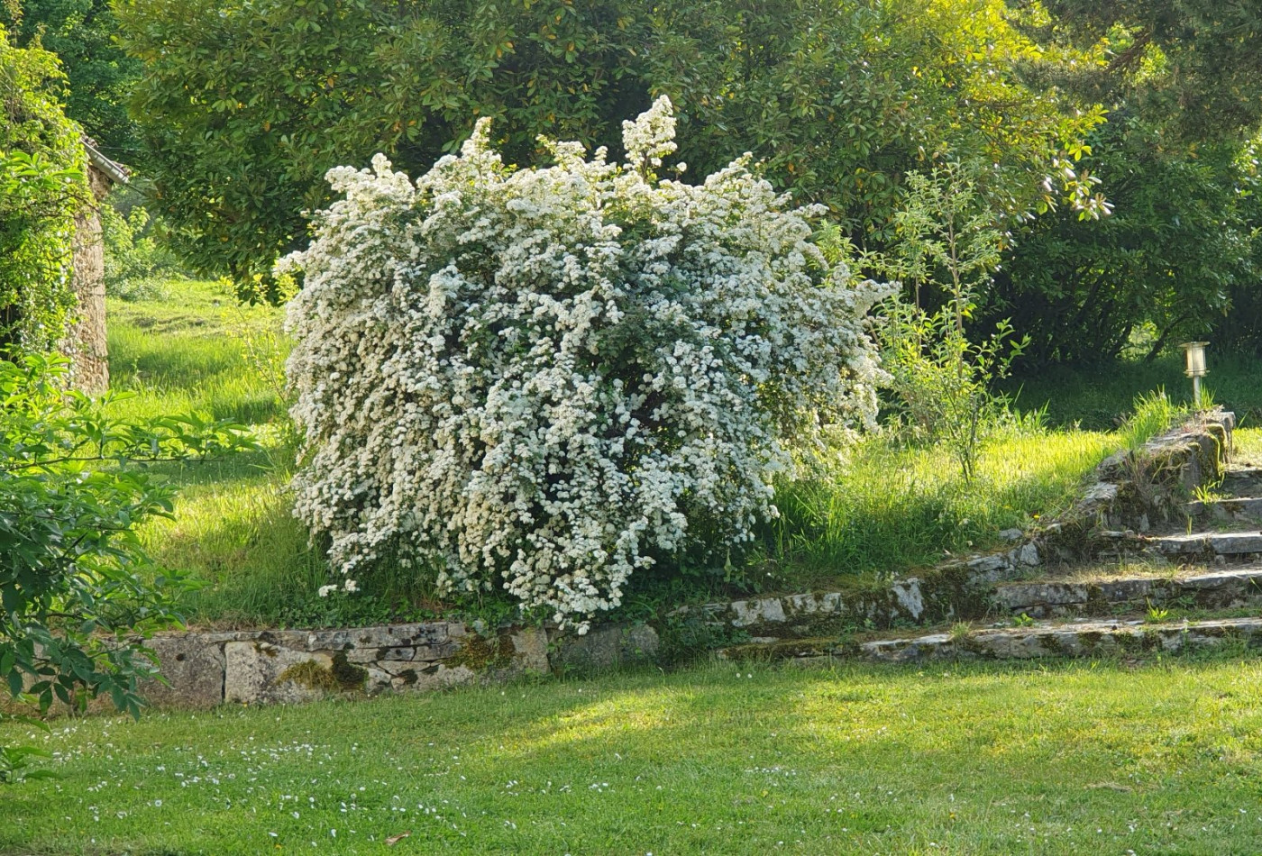 vente Domaine Ventenac - Photo 8