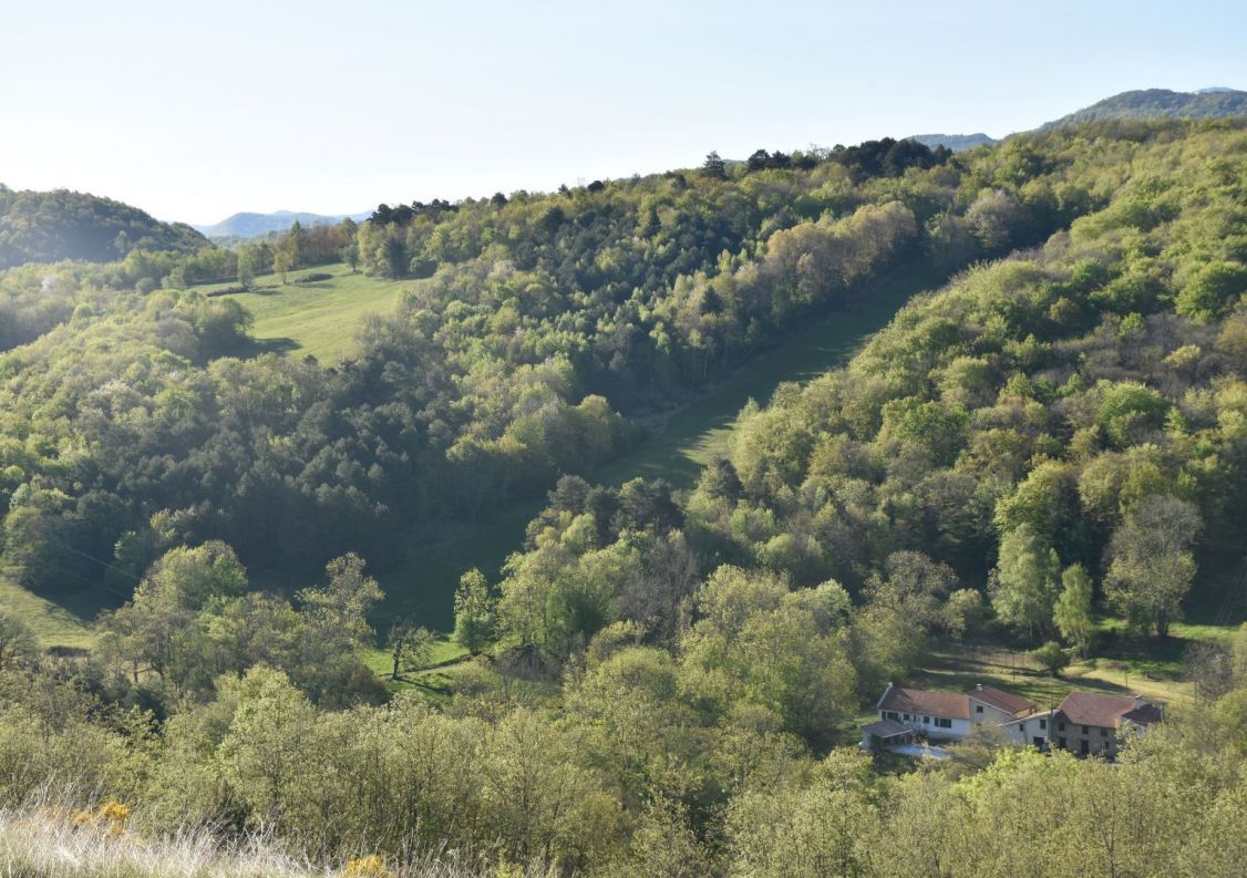 sale Domaine Ventenac