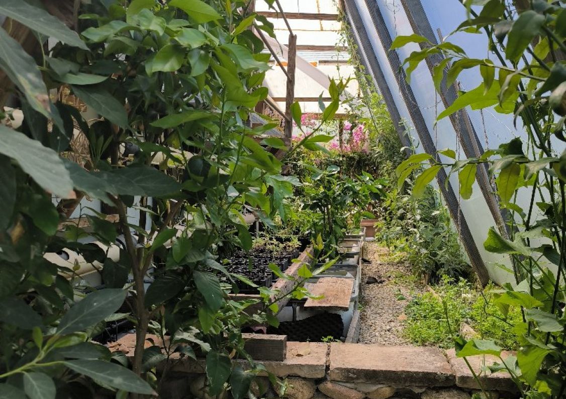 vente Propriété Pamiers