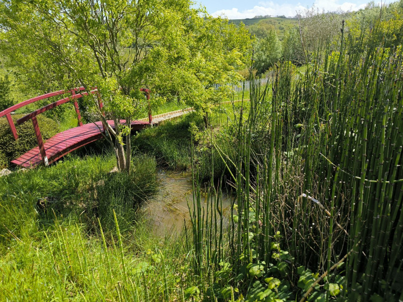 vente Propriété Pamiers - Photo 5