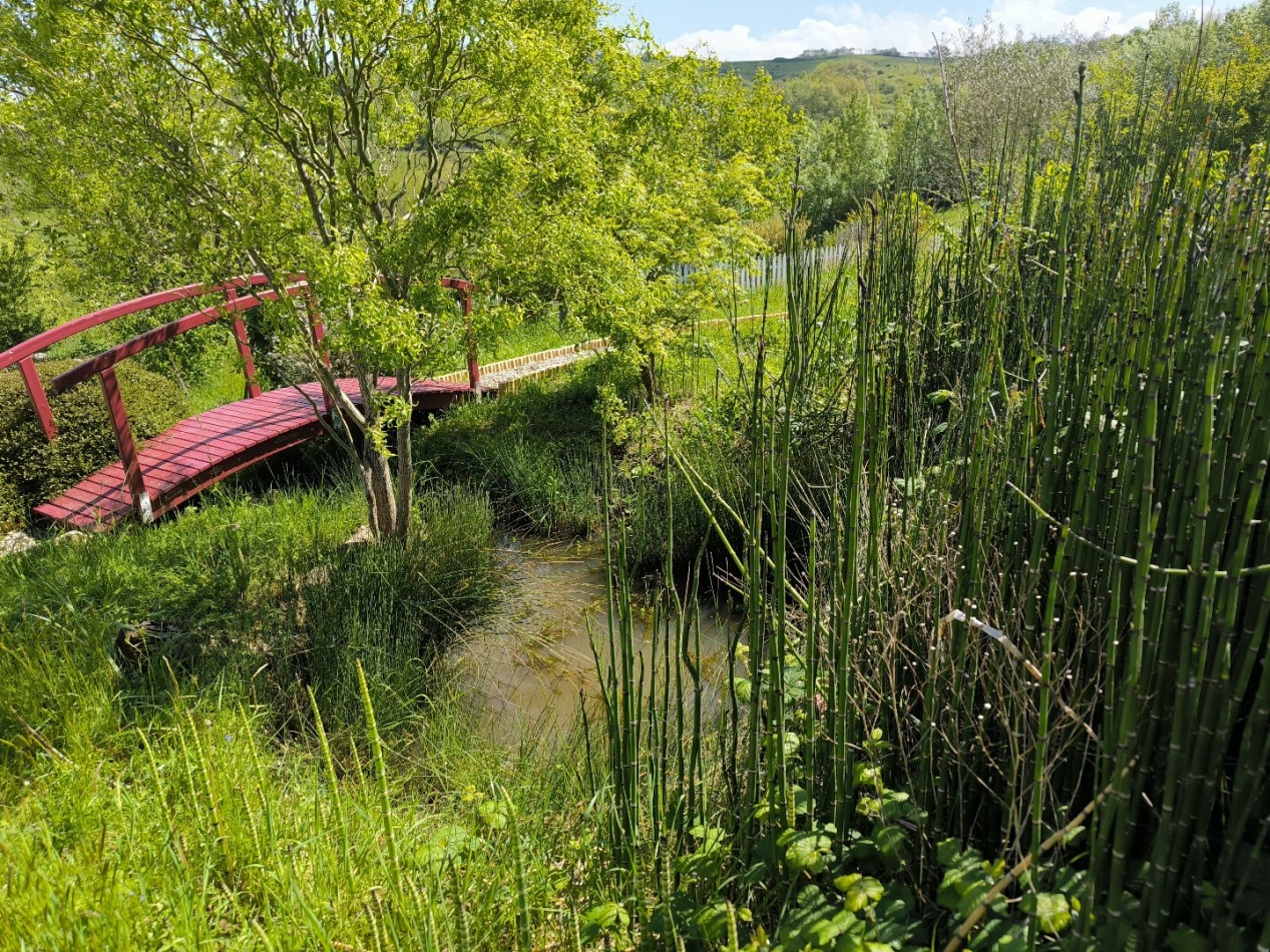 vente Propriété Pamiers - Photo 7