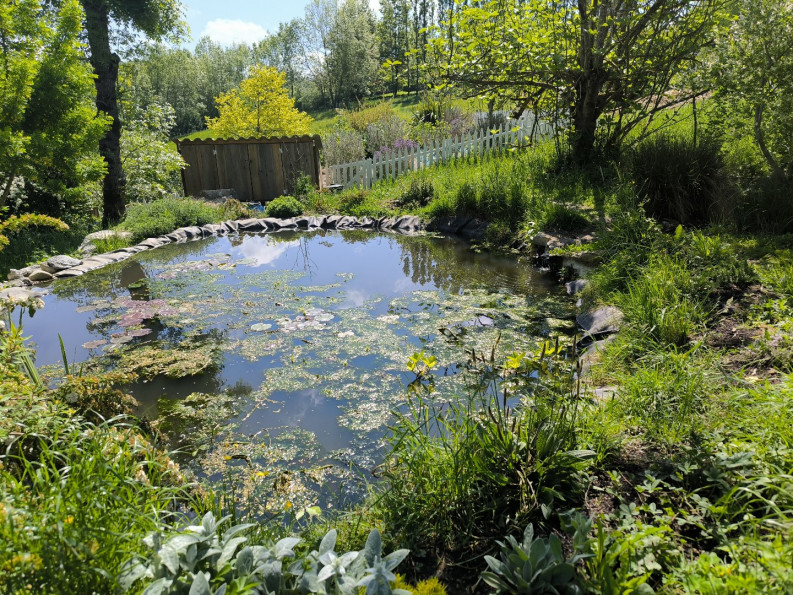 vente Propriété Pamiers - Photo 6