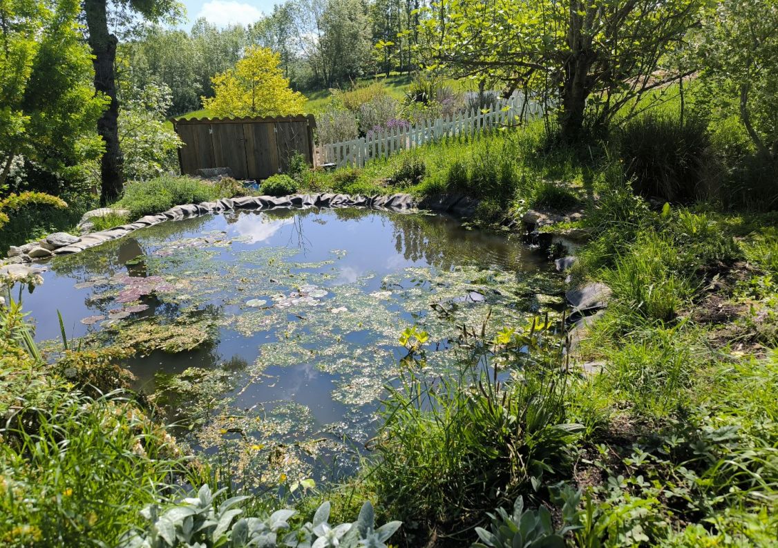 vente Propriété Pamiers