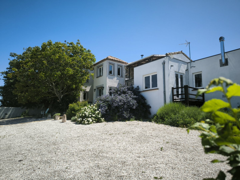 sale Domaine Fenouillet Du Razes - Photo 8