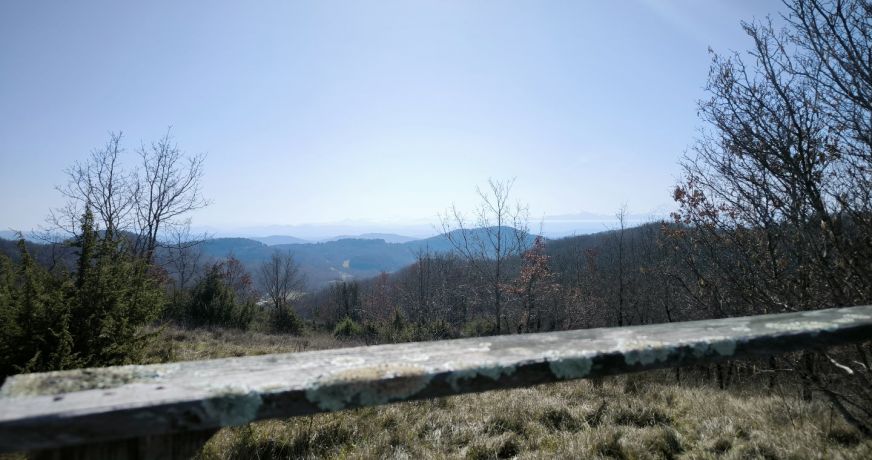 vente Propriété Mirepoix