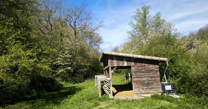 vente Propriété Mirepoix
