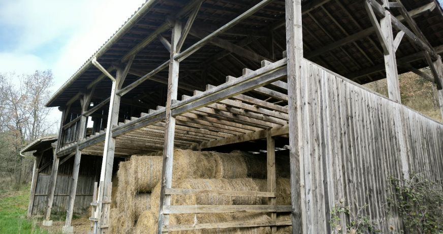 vente Propriété Mirepoix