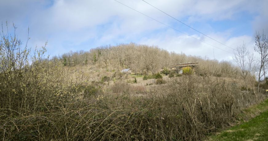 vente Propriété Mirepoix