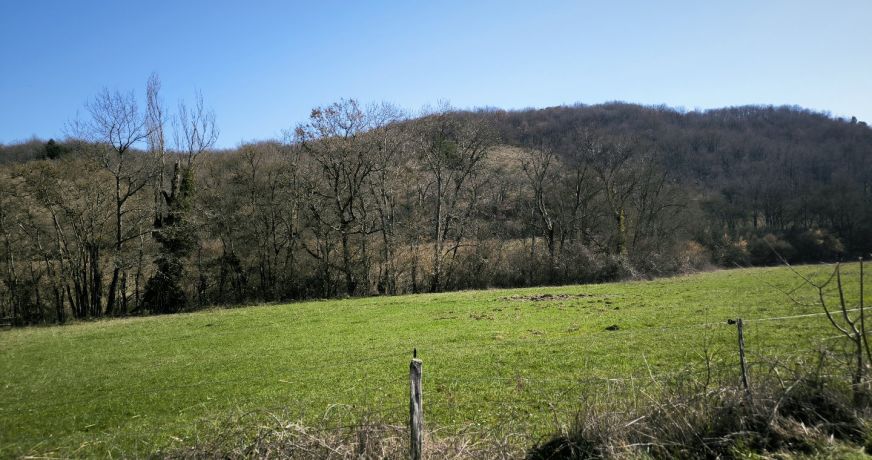 vente Propriété Mirepoix