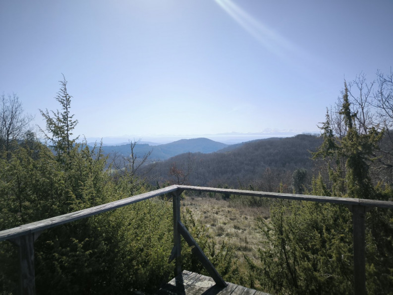 vente Propriété Mirepoix - Photo 3