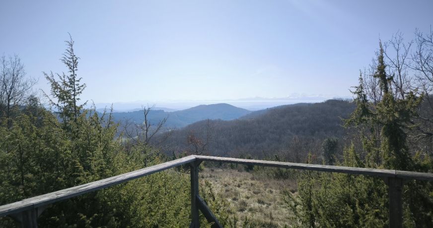 vente Propriété Mirepoix