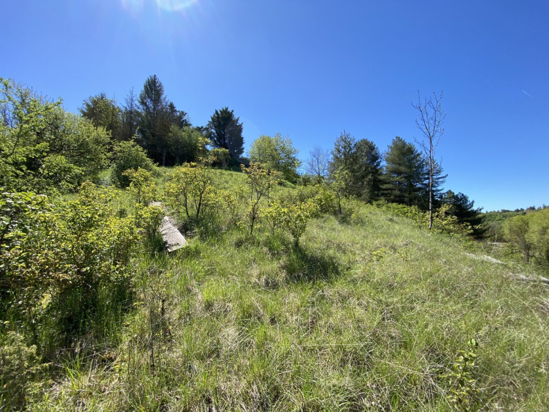 vente Terrain Onet Le Chateau - Photo 7