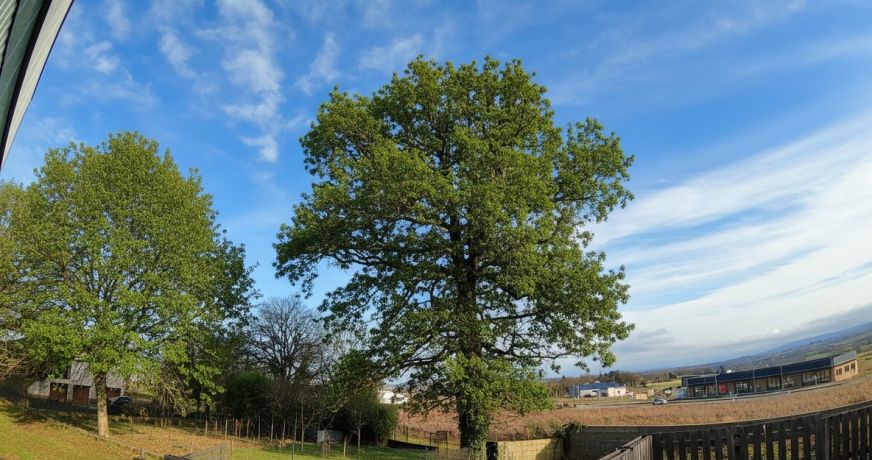 vente Ateliers et bureaux Rodez