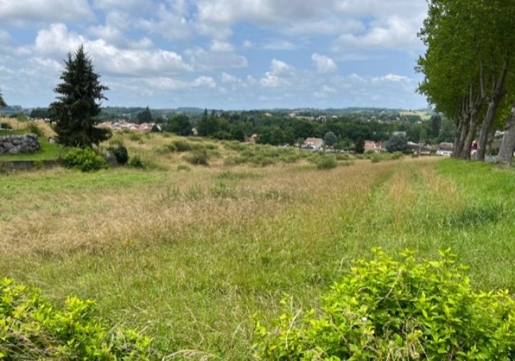 vente Terrain Orthez