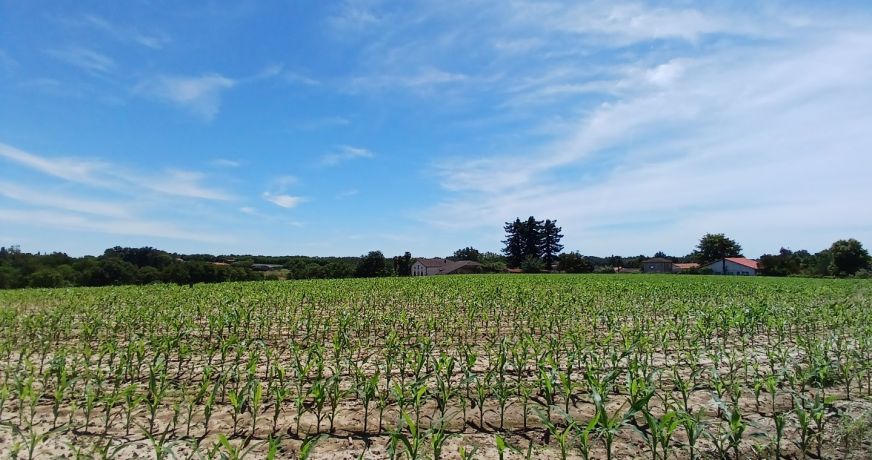 vente Terrain constructible Mugron