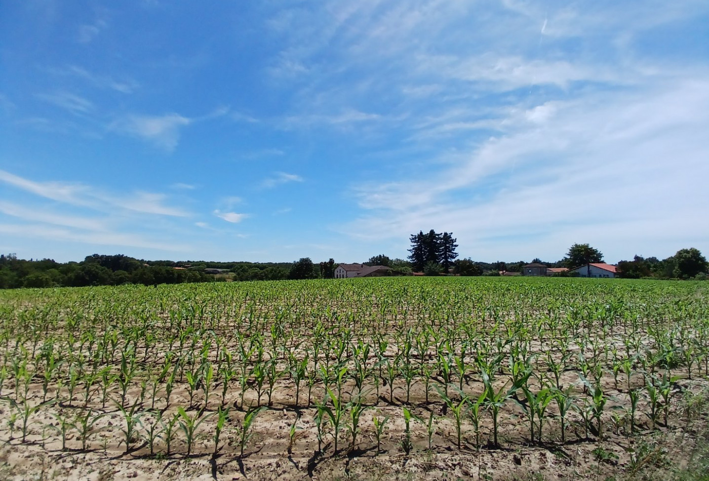 vente Terrain constructible Mugron - Photo 2