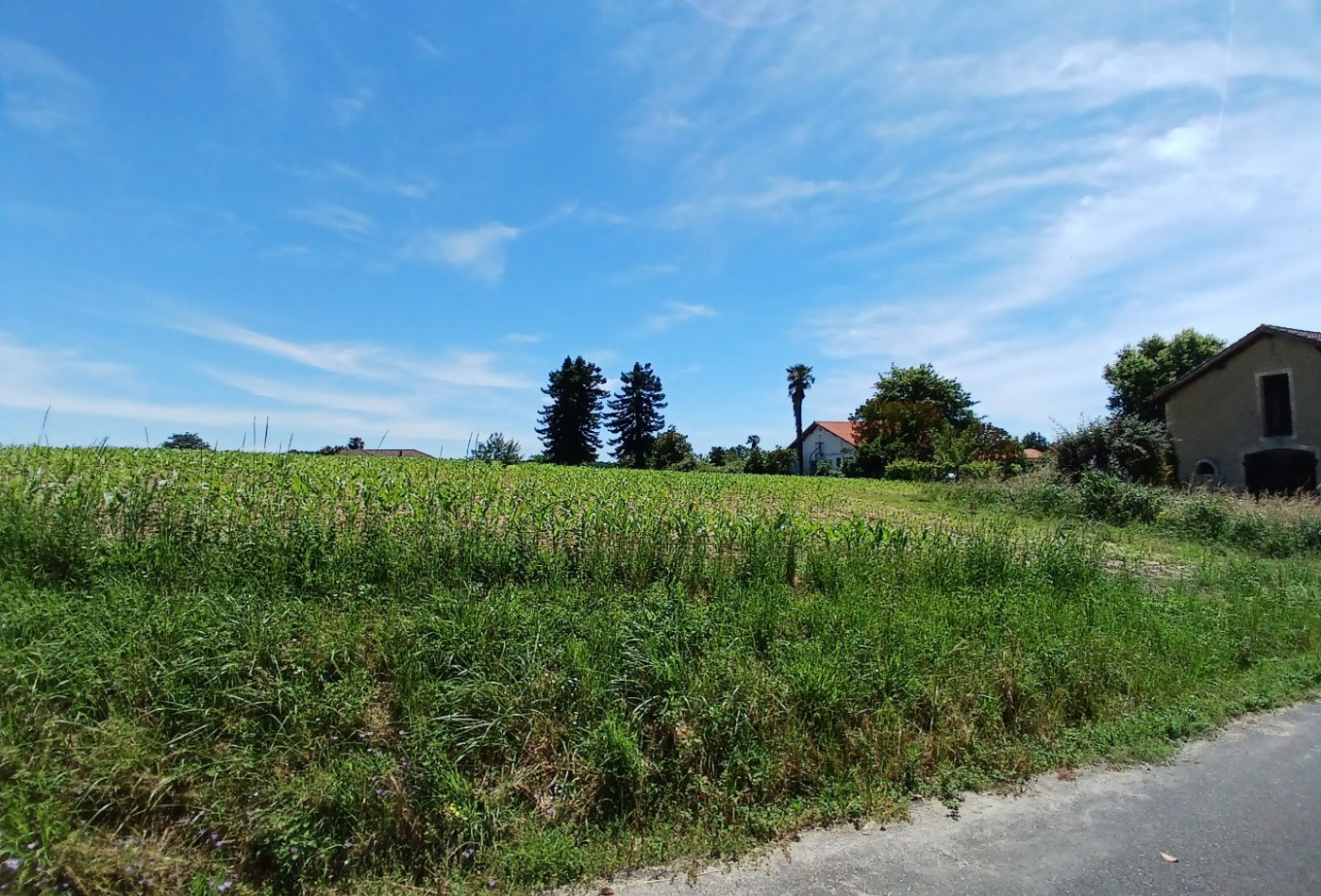 vente Terrain constructible Mugron - Photo 1