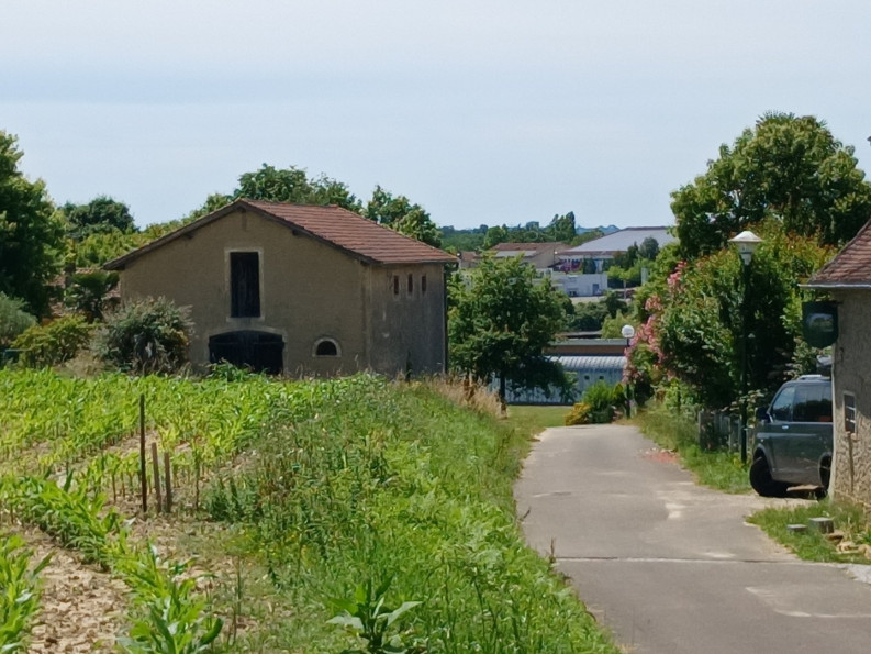 vente Terrain constructible Mugron - Photo 3