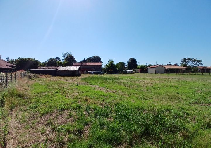 vente Terrain constructible Laluque