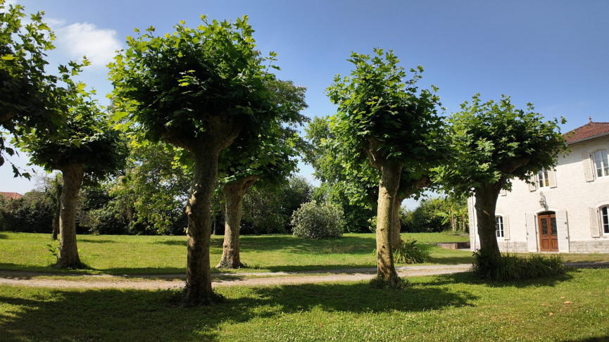 sale Maison de caractère Saint Vincent De Tyrosse - Photo 10