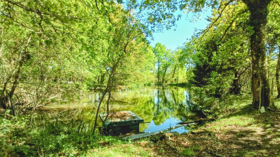 vente Maison Mont De Marsan - Photo 9