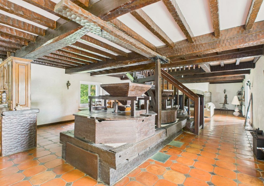 vente Moulin Peyrehorade