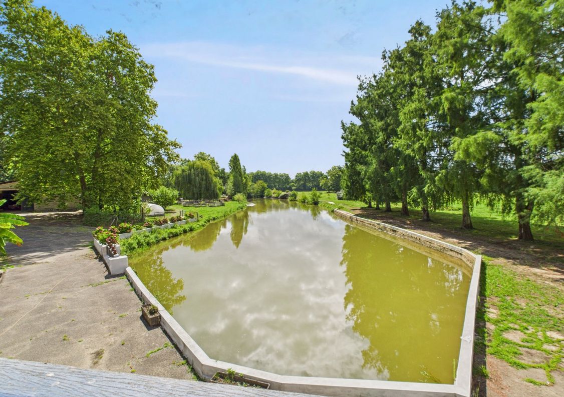 vente Moulin Peyrehorade