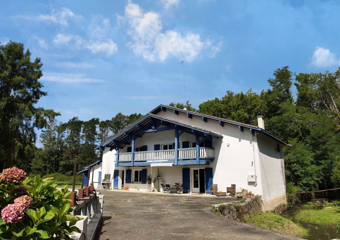 vente Moulin Peyrehorade