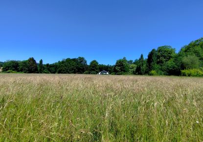 vente Moulin Peyrehorade