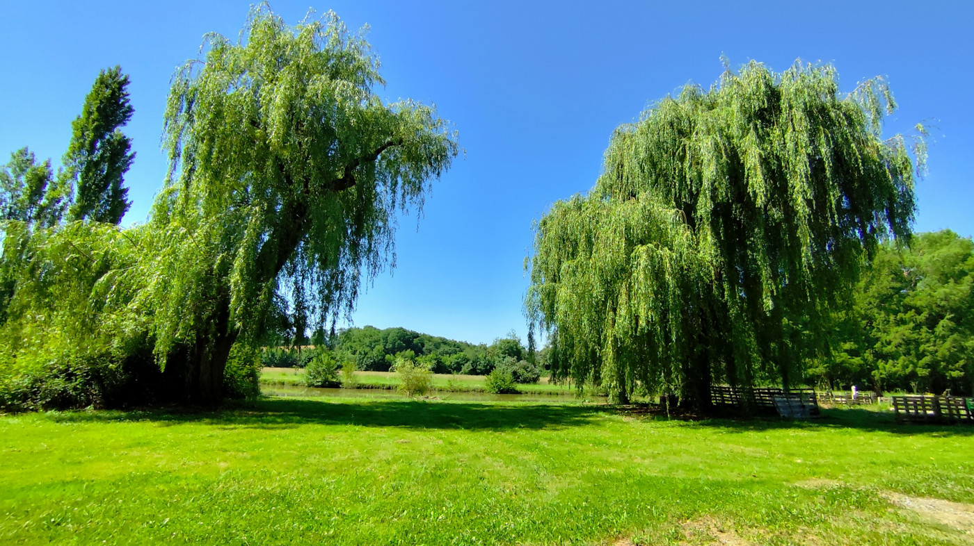 vente Moulin Peyrehorade - Photo 14