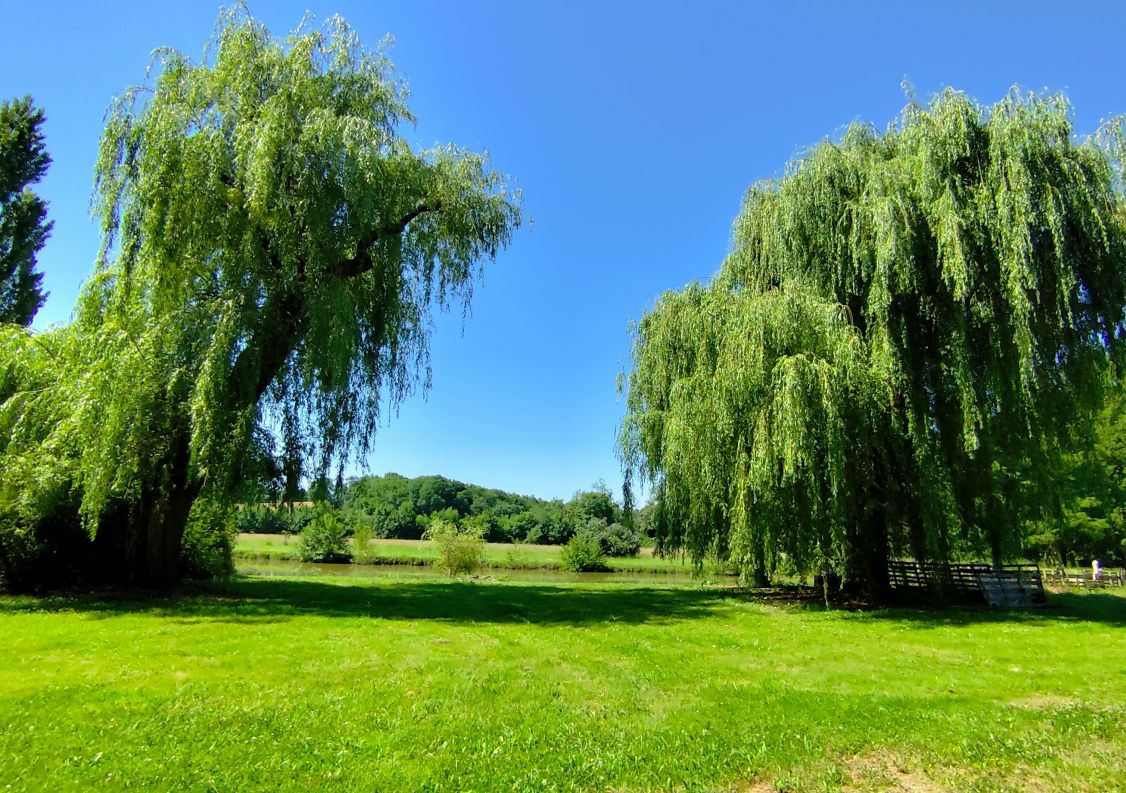 vente Moulin Peyrehorade