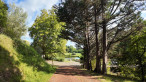 vente Moulin Peyrehorade
