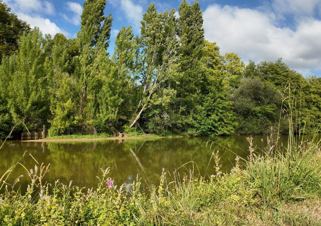 vente Moulin Peyrehorade