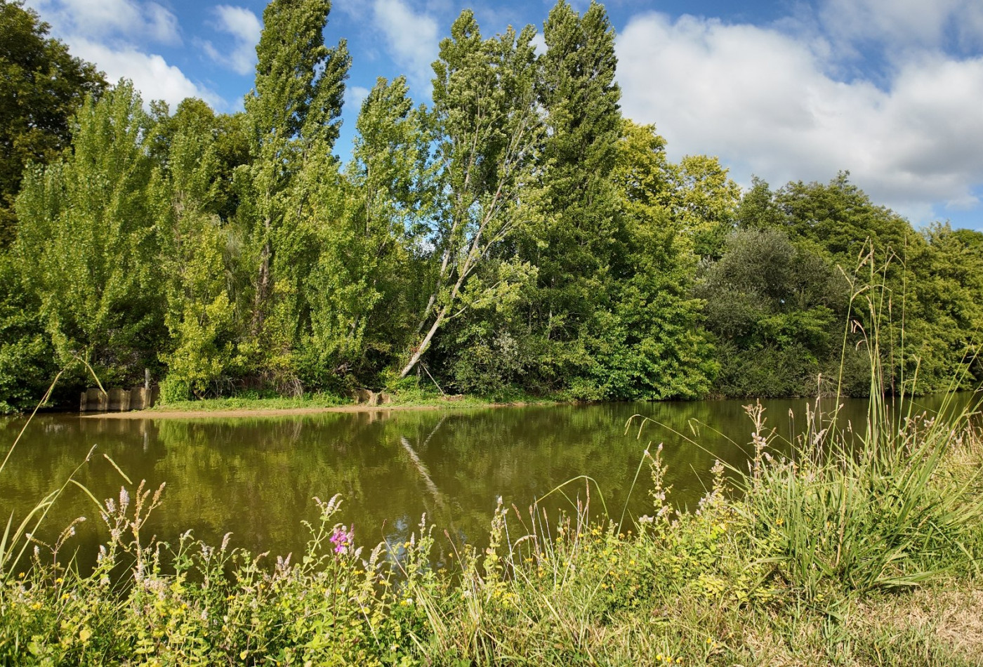 vente Moulin Peyrehorade - Photo 2