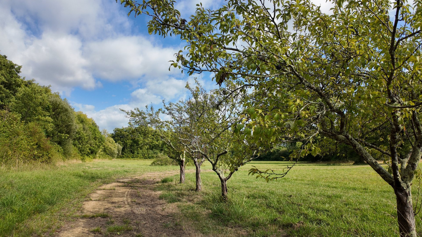 vente Moulin Peyrehorade - Photo 15