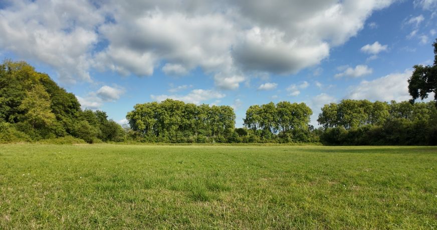 vente Moulin Peyrehorade