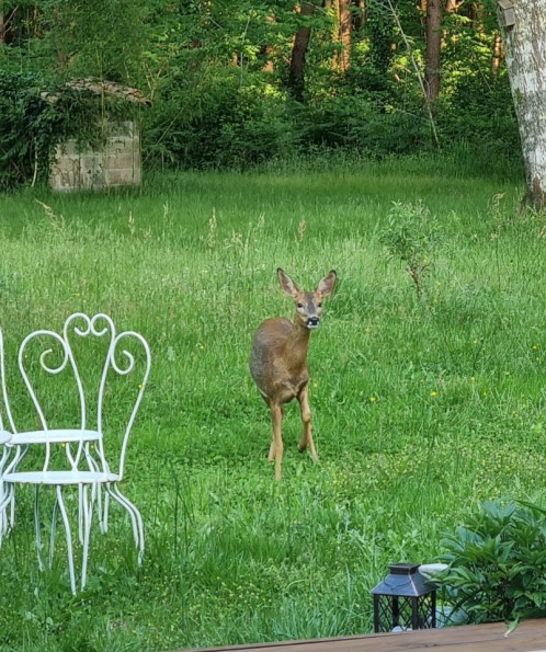 sale Maison Pontonx Sur L'adour - Photo 13
