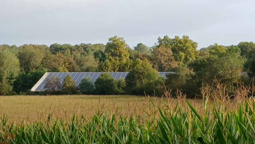 sale Maison Mimbaste - Photo 2