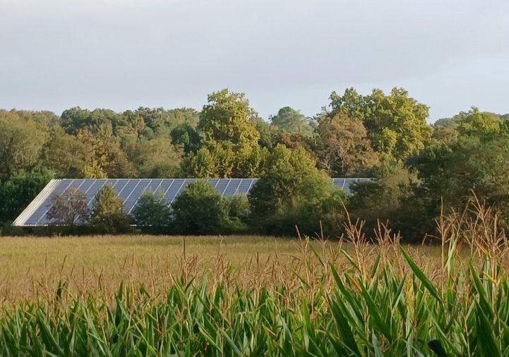 vente Maison Mimbaste