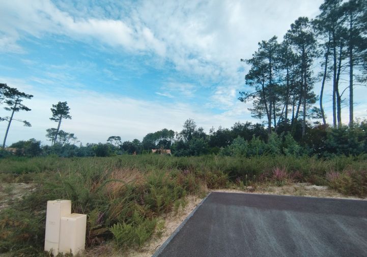 vente Terrain Moliets Et Maa